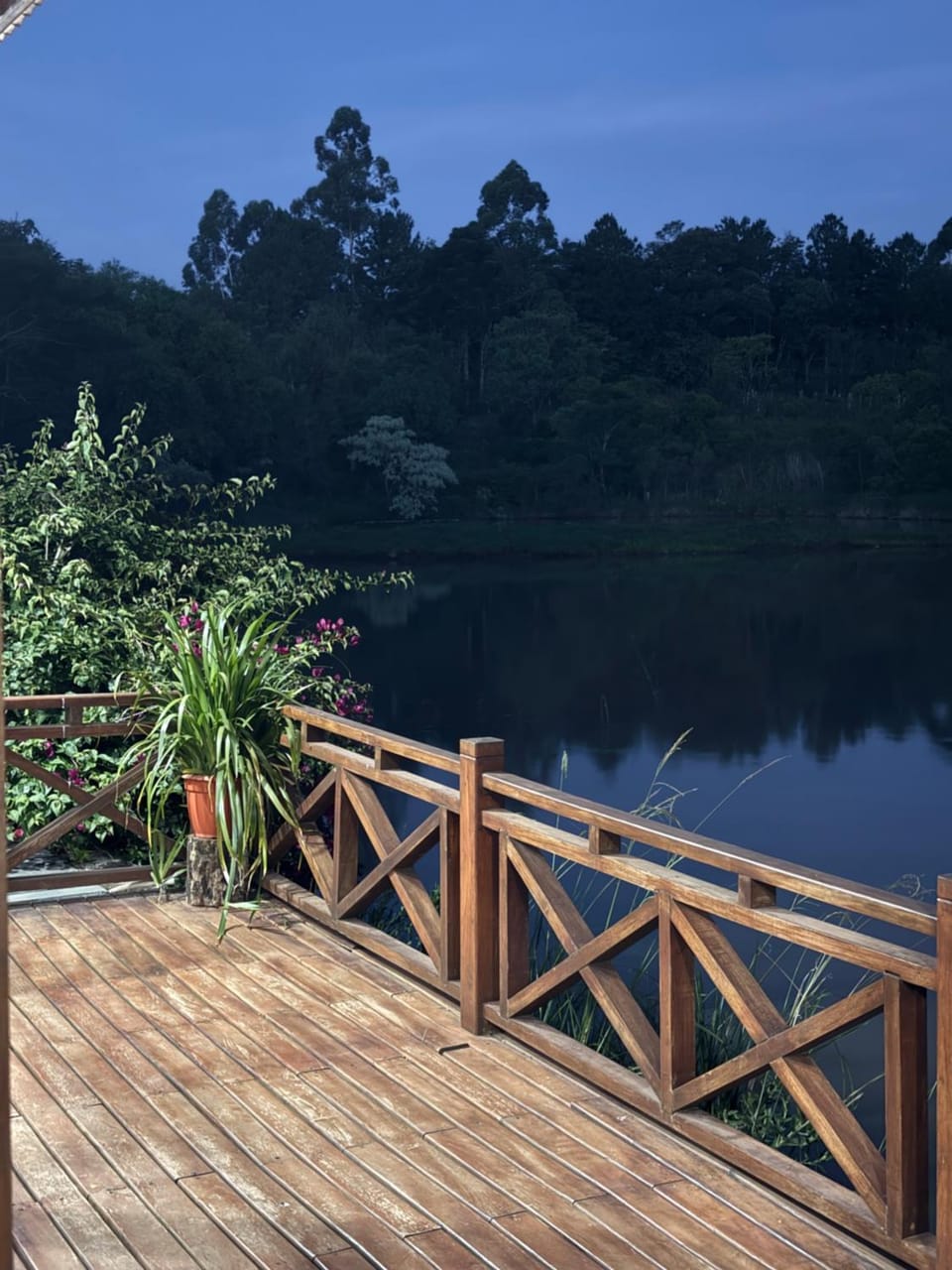 Luz de campo House in Misiones Province, Argentina