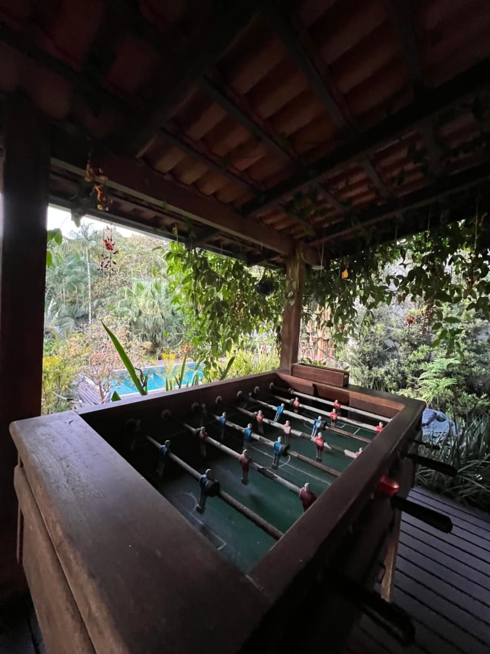 Pool amid the green House in Blumenau
