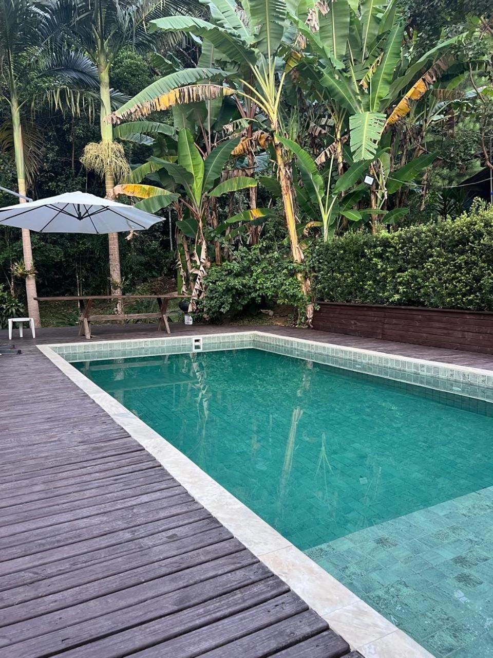 Pool amid the green House in Blumenau
