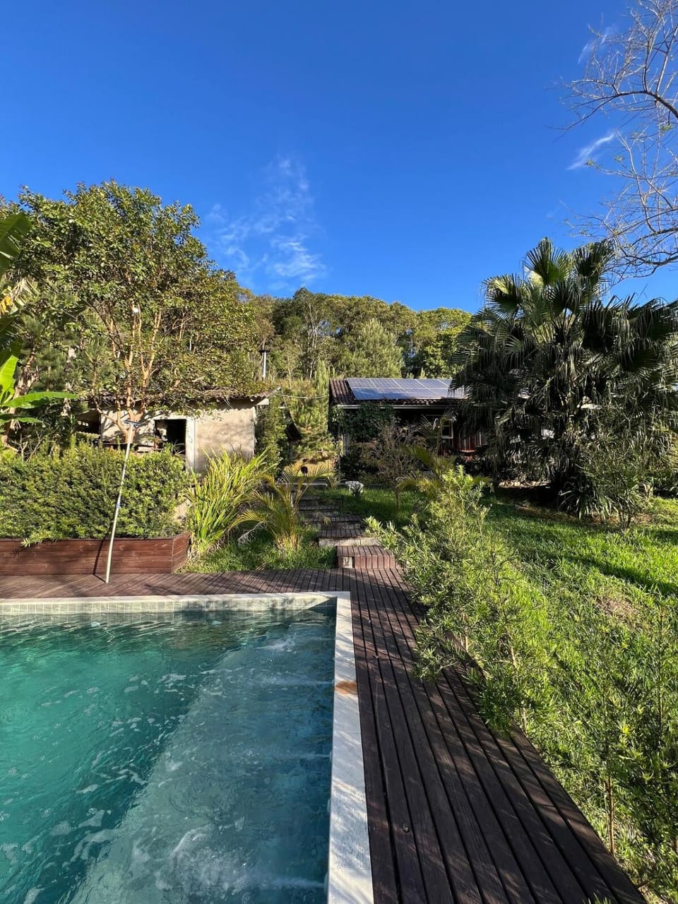 Pool amid the green House in Blumenau