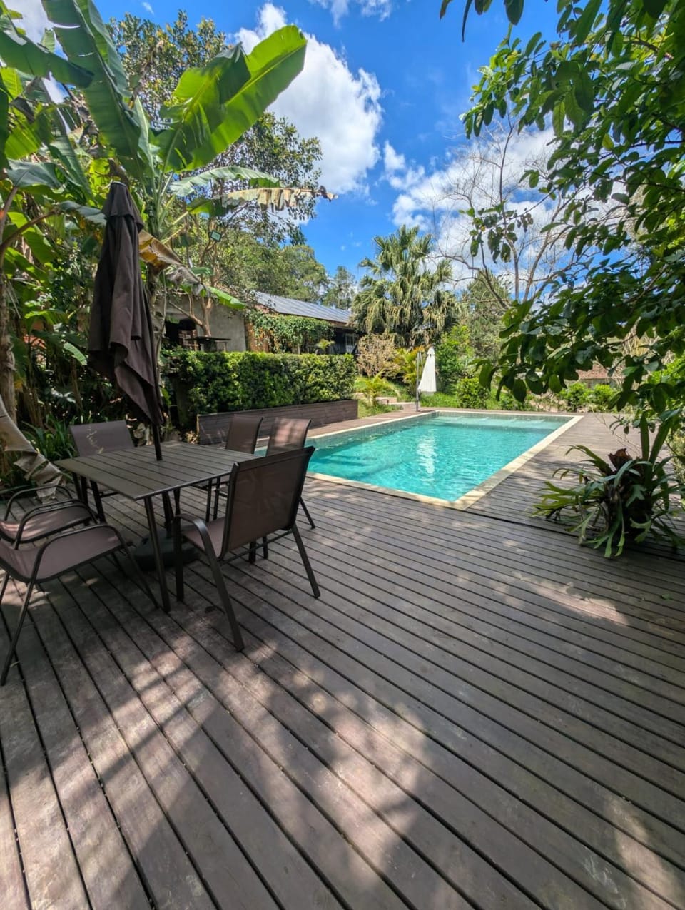 Pool amid the green House in Blumenau
