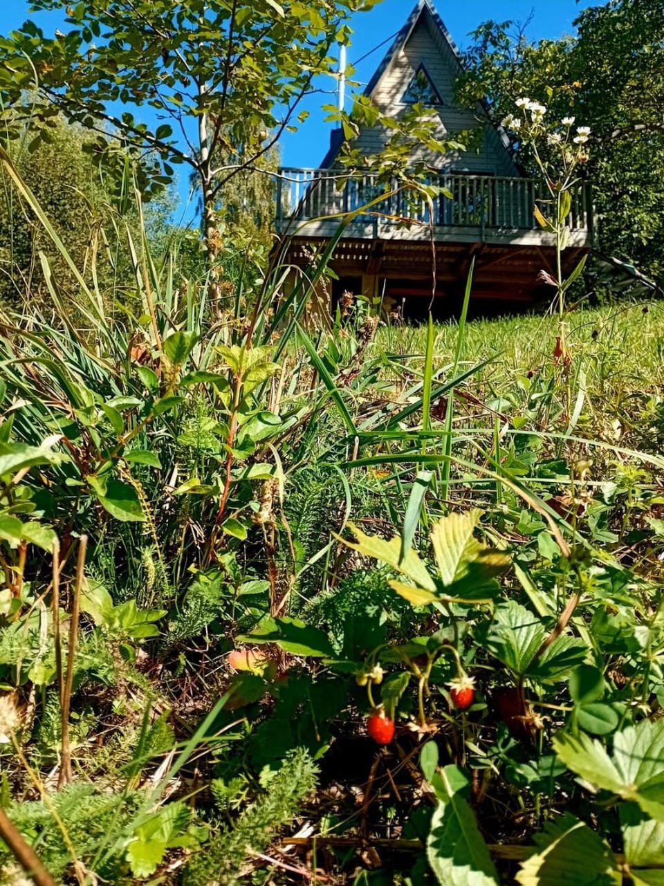 Property building, Natural landscape, Garden view