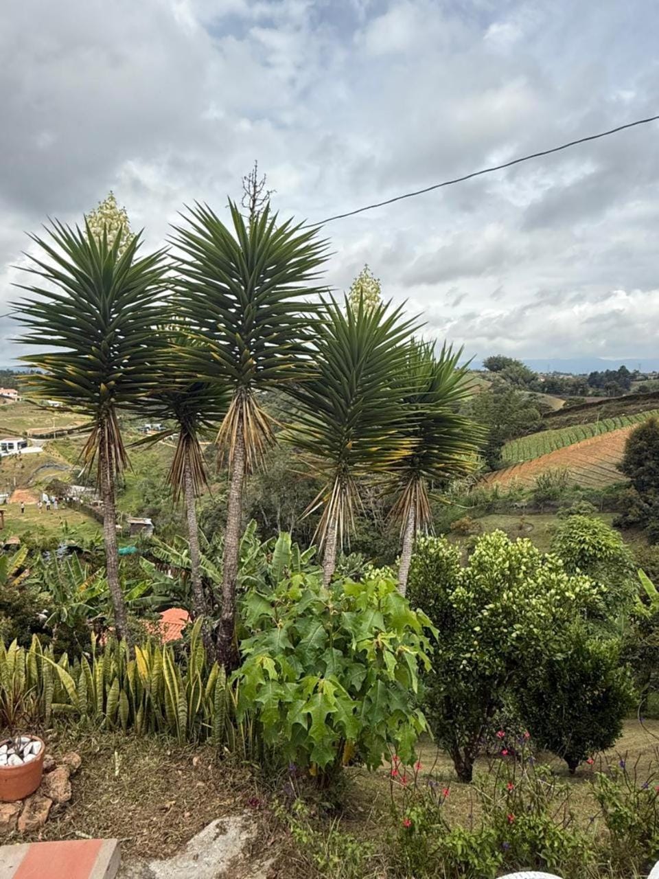 Encantadora finca en el corazón de Marinilla con vistas únicas y ubicación privilegiada House in Antioquia