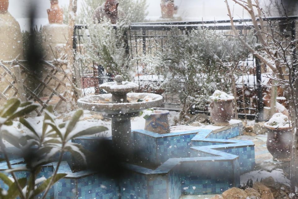 Day, Natural landscape, Winter