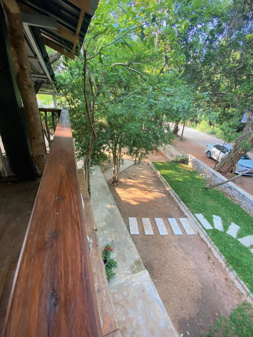 Spring, Day, Natural landscape, Garden, Street view