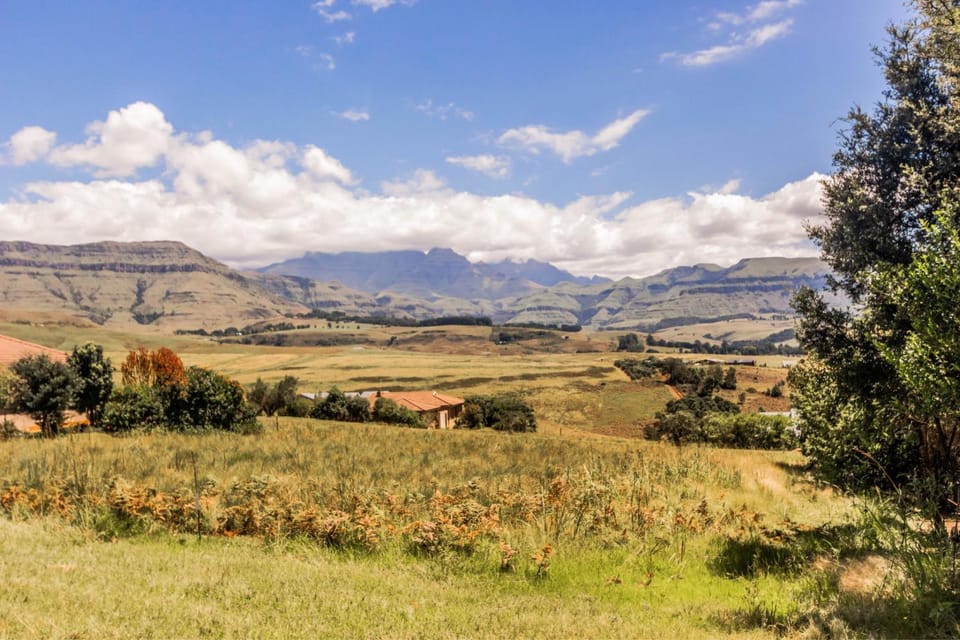 Natural landscape, Other