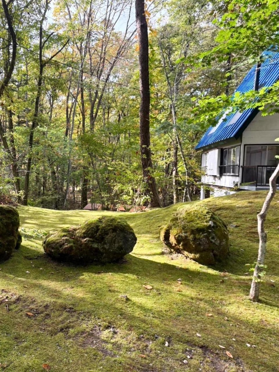 Kawa No Mori Villa Karuizawa - Ghibi-Like Enchanted Riverside Moss Garden Forest Retreat House in Nagano Prefecture