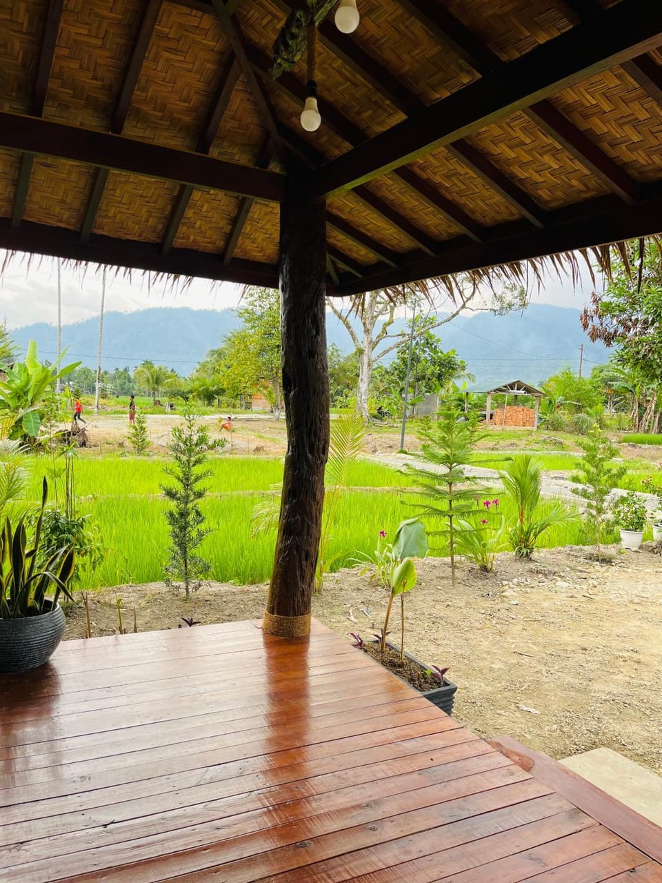 Spring, Day, Natural landscape, Garden, Garden view, Mountain view