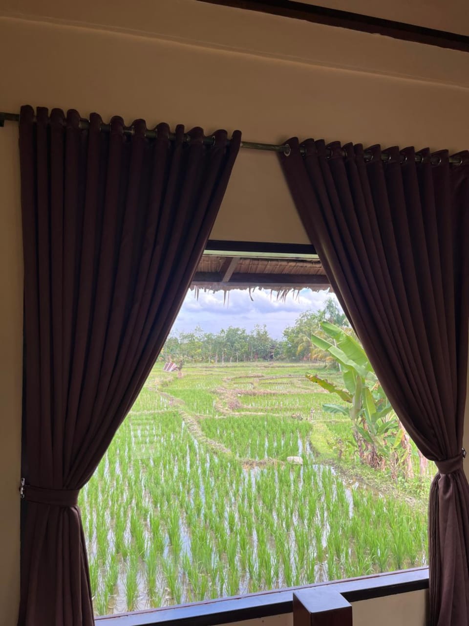 Spring, Day, Garden view