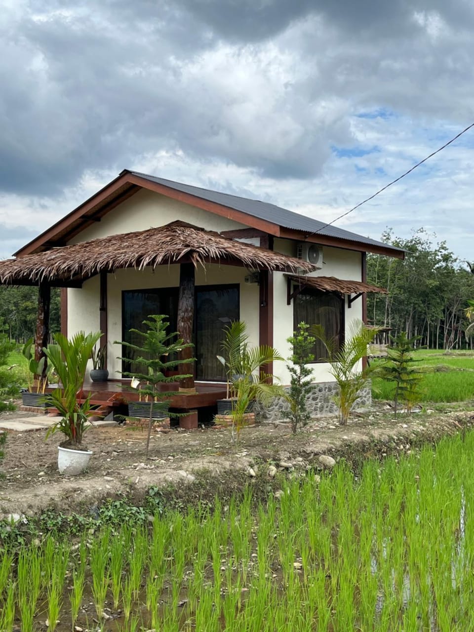 Property building, Day, Garden, Garden view