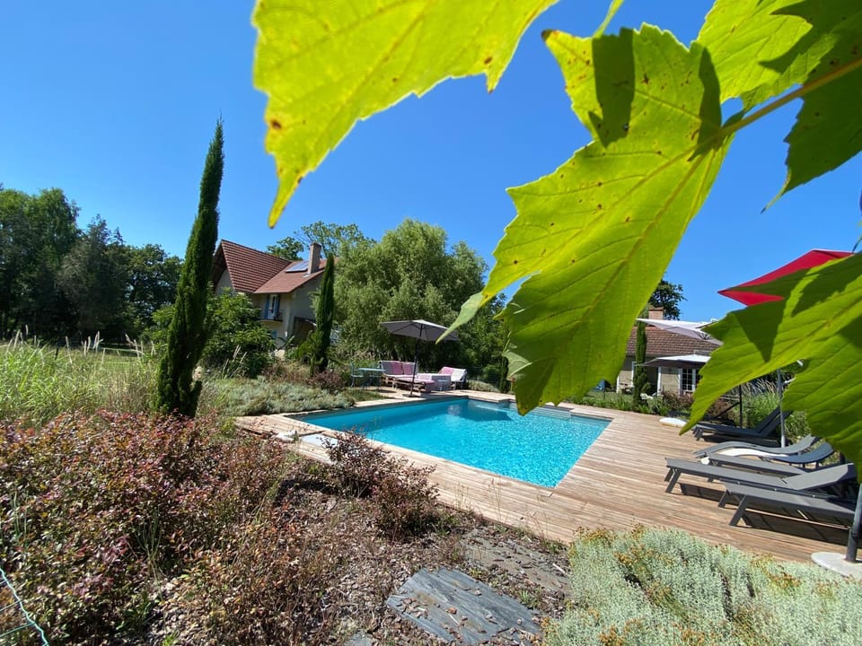 Patio, Day, Swimming pool, sunbed