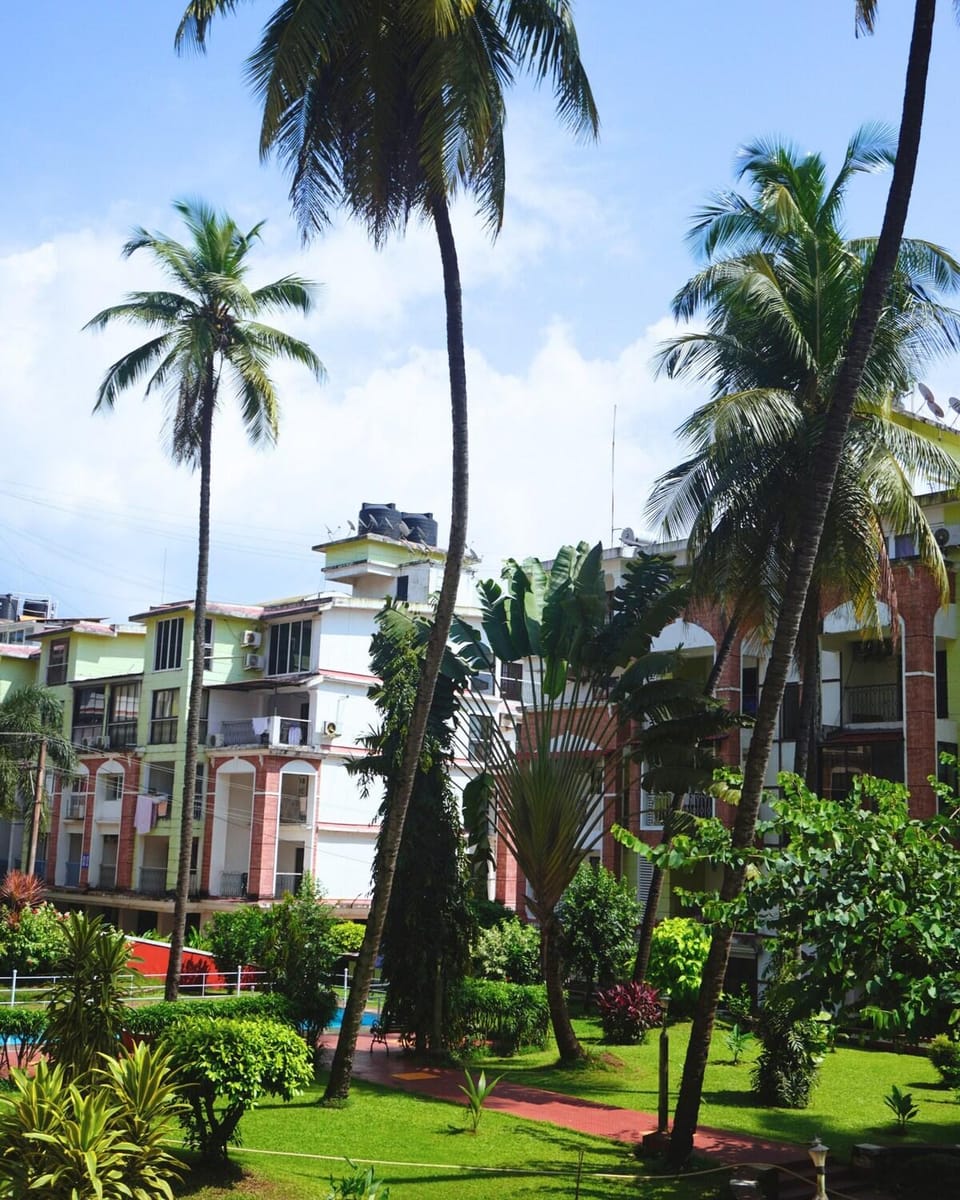 Garden view