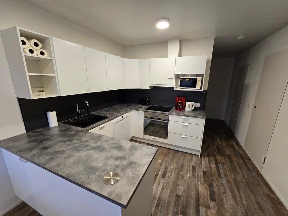 Kitchen or kitchenette, dishwasher, oven, stove, toaster