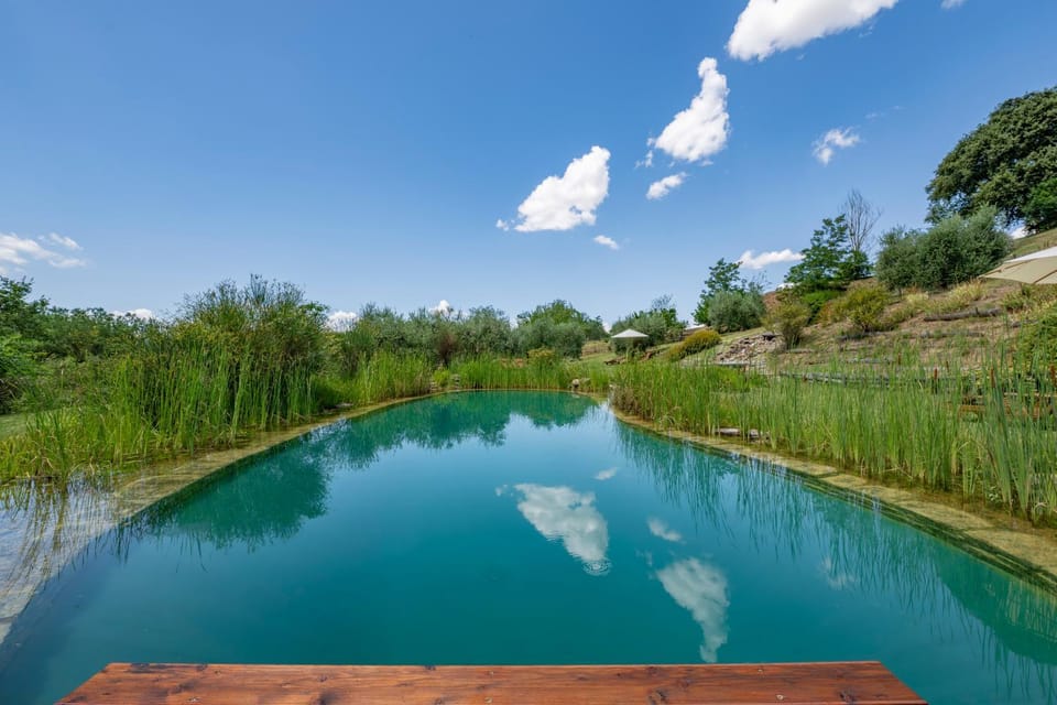 Natural landscape