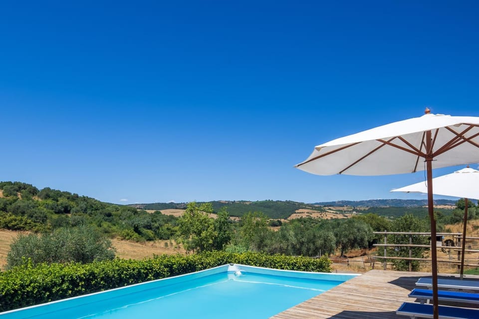 Garden, Pool view, Swimming pool, sunbed