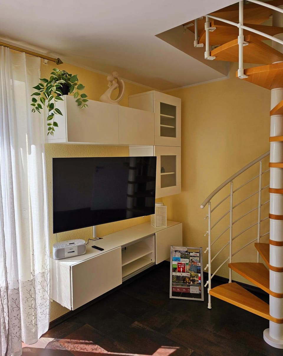 TV and multimedia