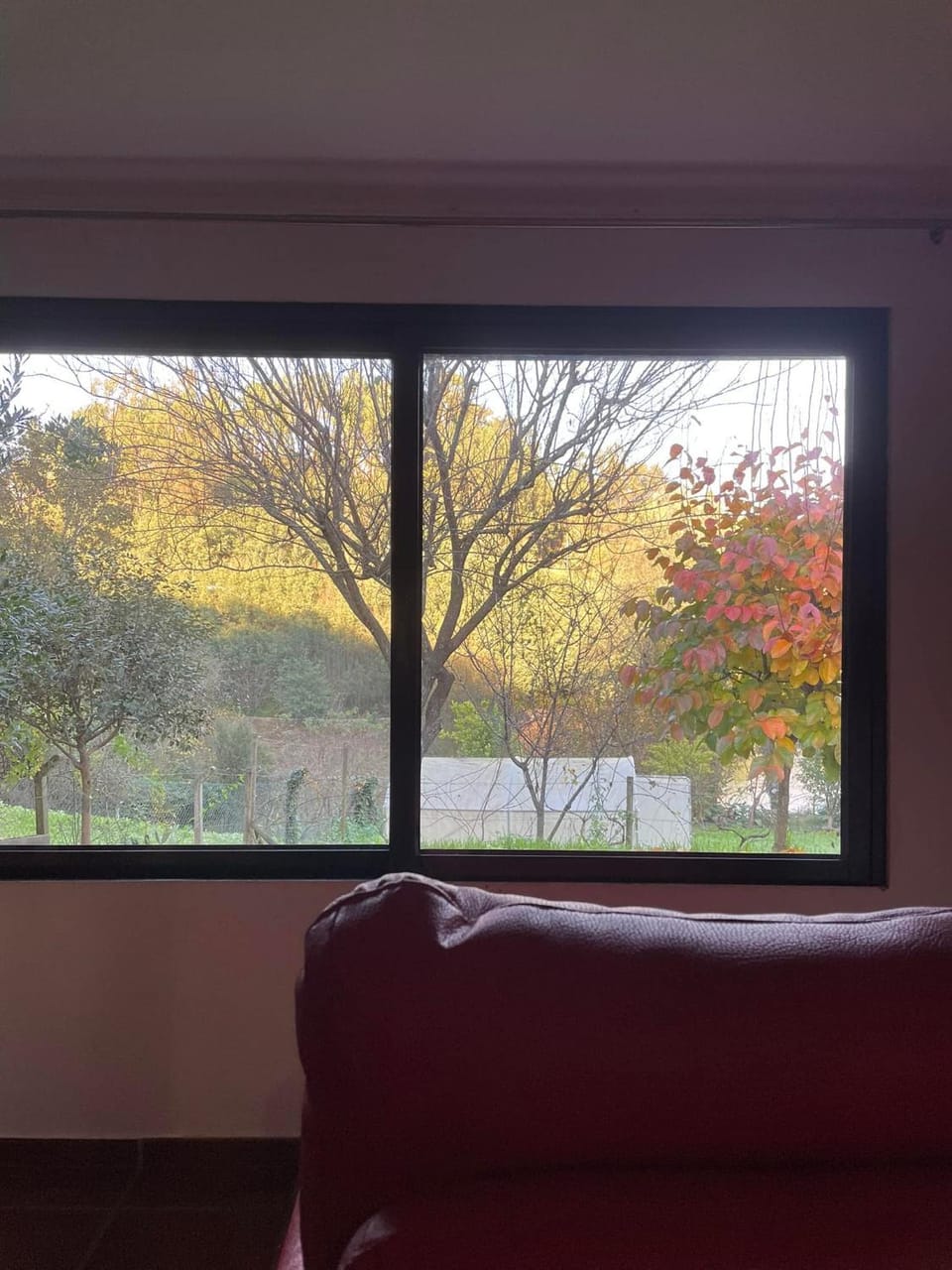 Natural landscape, Garden view