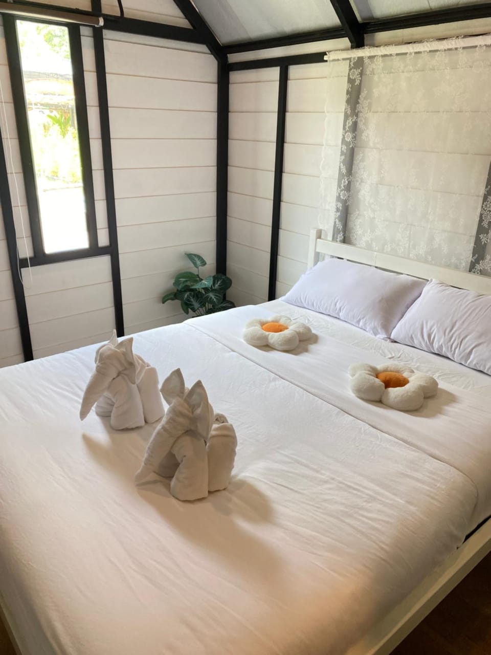 Bed