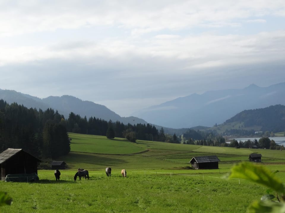 Day, Natural landscape, Garden, Mountain view
