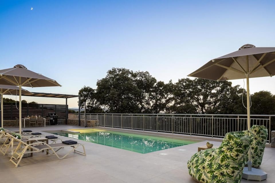 Patio, Pool view, Swimming pool, sunbed