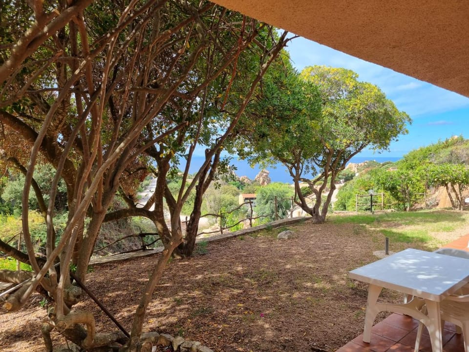 Garden, Garden view