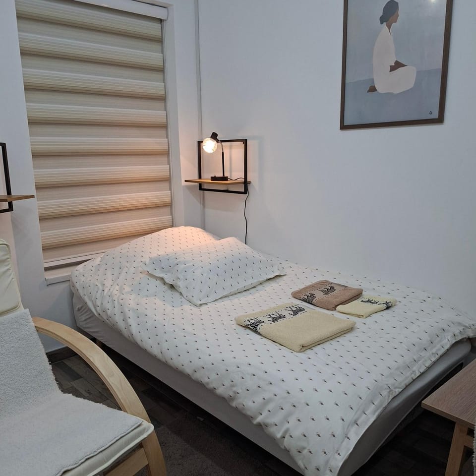 Mirka's dream Apartment in Serbia