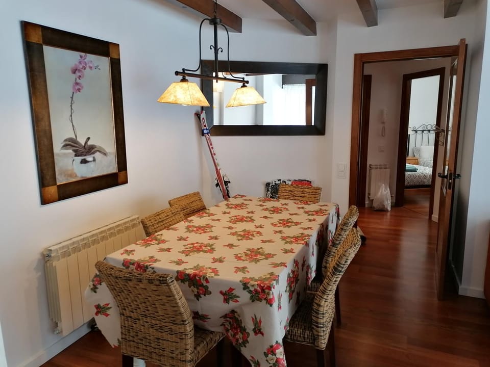 Esterri Confort Apartment in Esterri d'Àneu