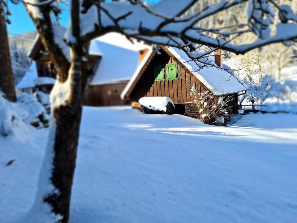 Mühlsteinhütte House in Carinthia, Austria