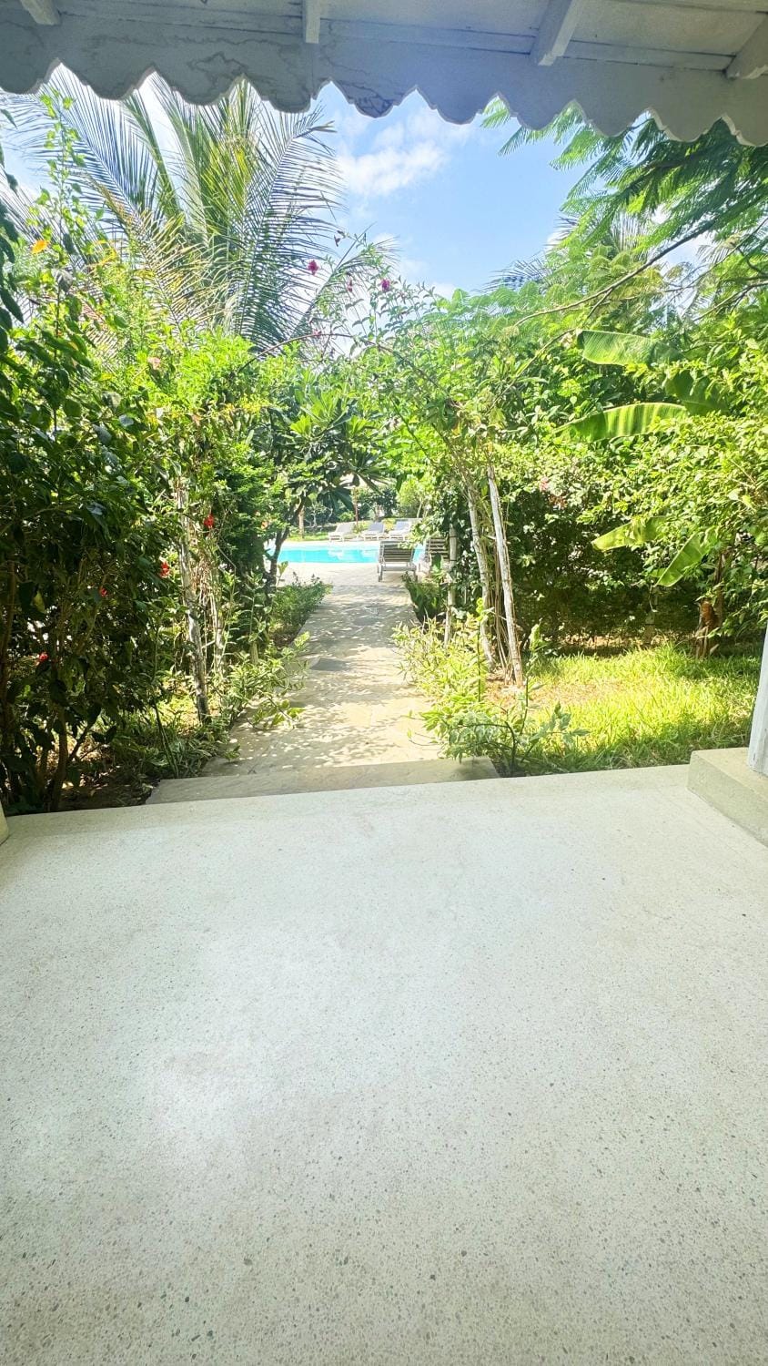 Garden view