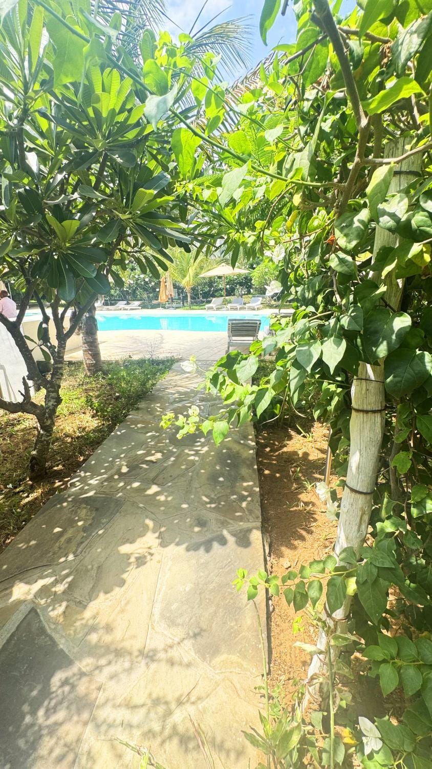 Pool view