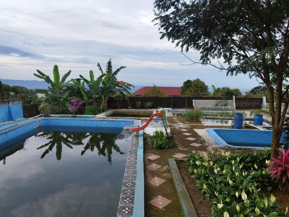 Natural landscape, Garden, Pool view, Swimming pool