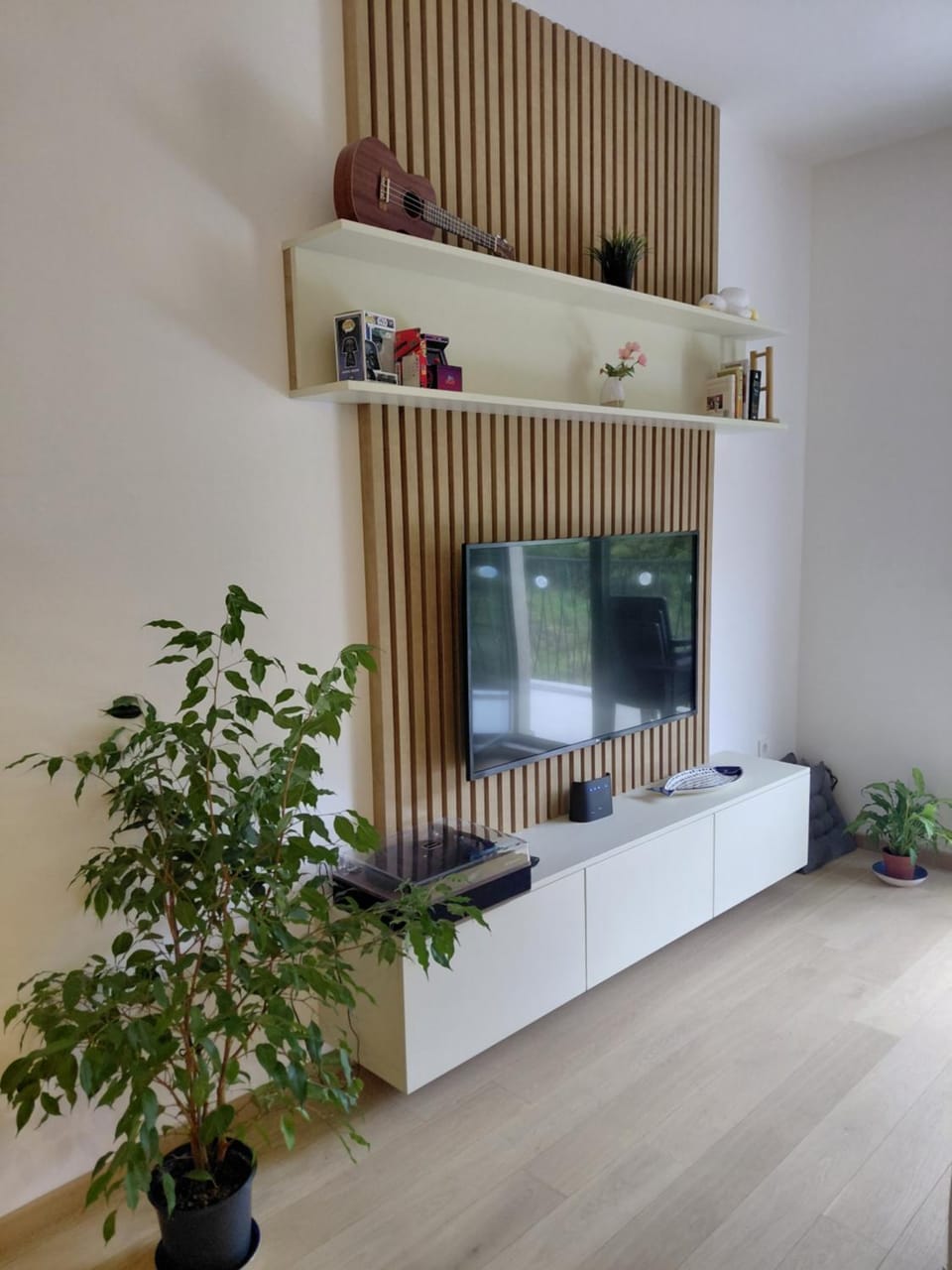 TV and multimedia