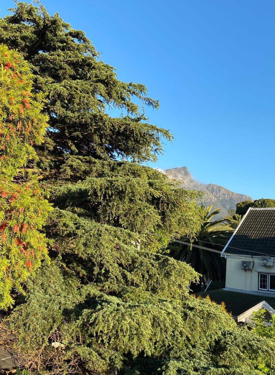 View (from property/room)