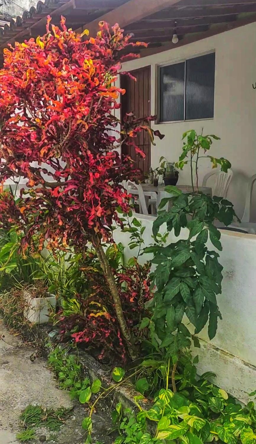 Shantti House Bed and Breakfast in Pipa Beach