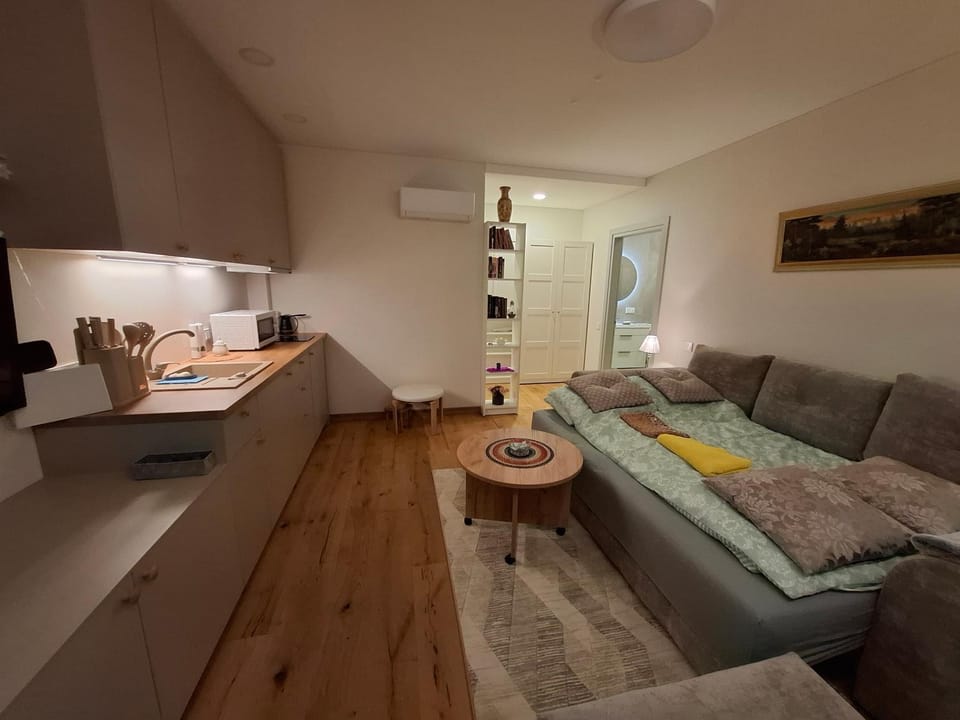 Ievos apartamentai Apartment in Lithuania