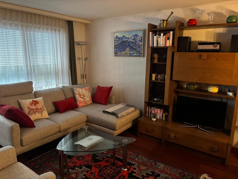 Library, TV and multimedia, Living room, Seating area