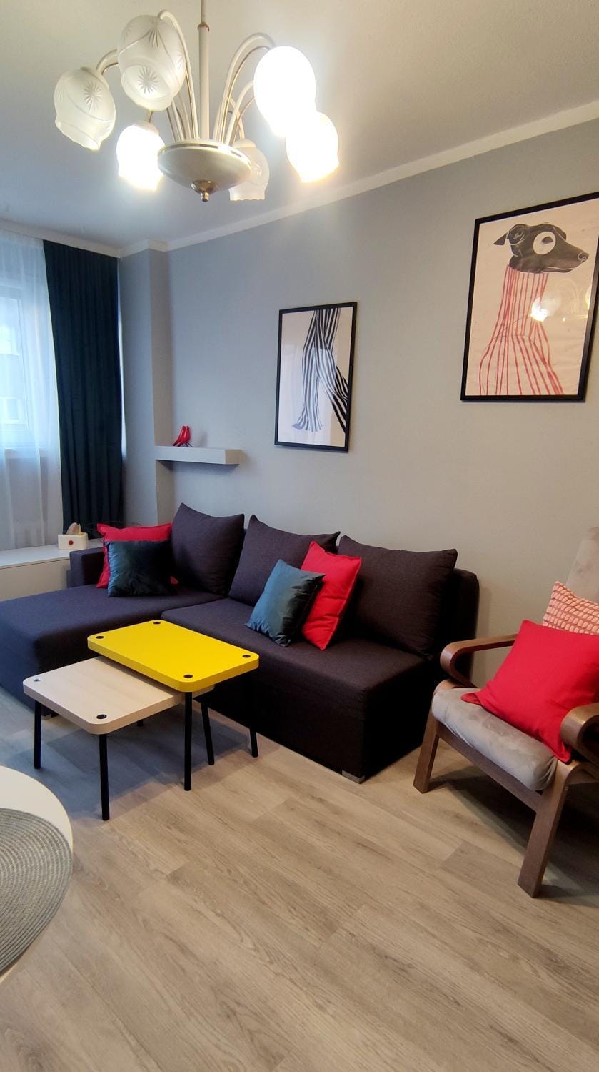 Library, TV and multimedia, Living room, Photo of the whole room, Decorative detail, Seating area, Dining area, Street view, Quiet street view
