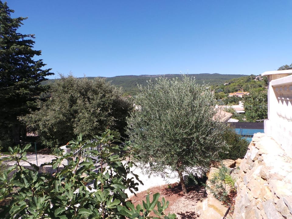 Patio, Garden, Garden view, Mountain view