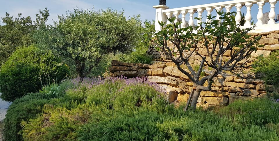 Garden view, Garden view