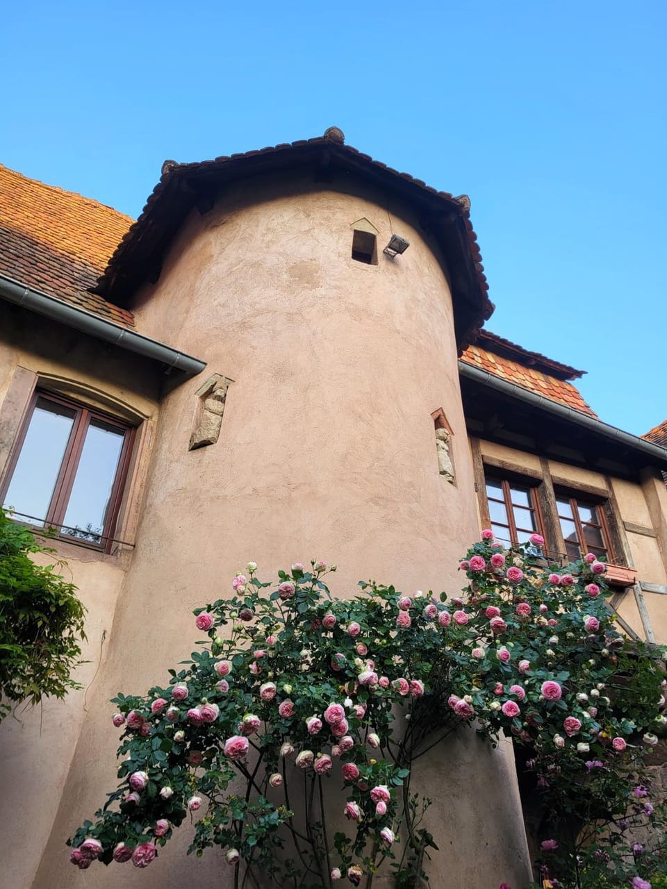 Property building, Garden, Garden view