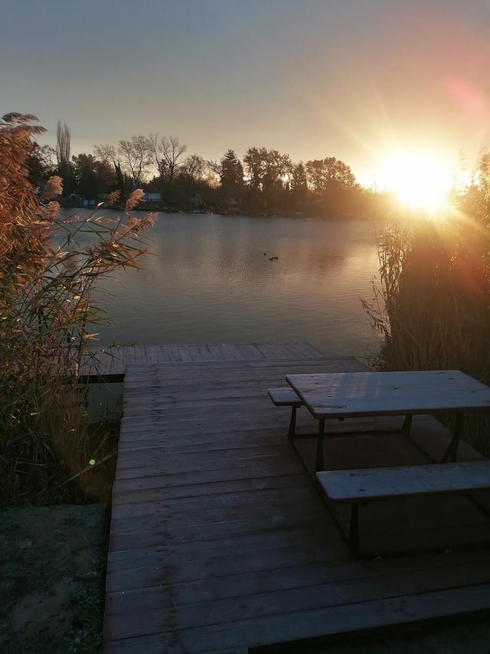 Fishing