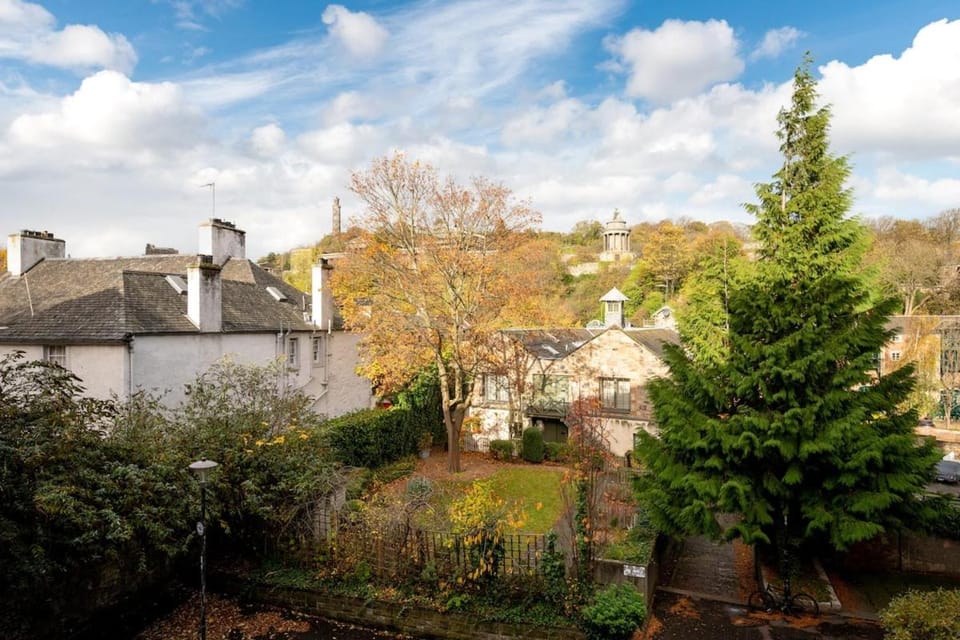 Day, Garden view