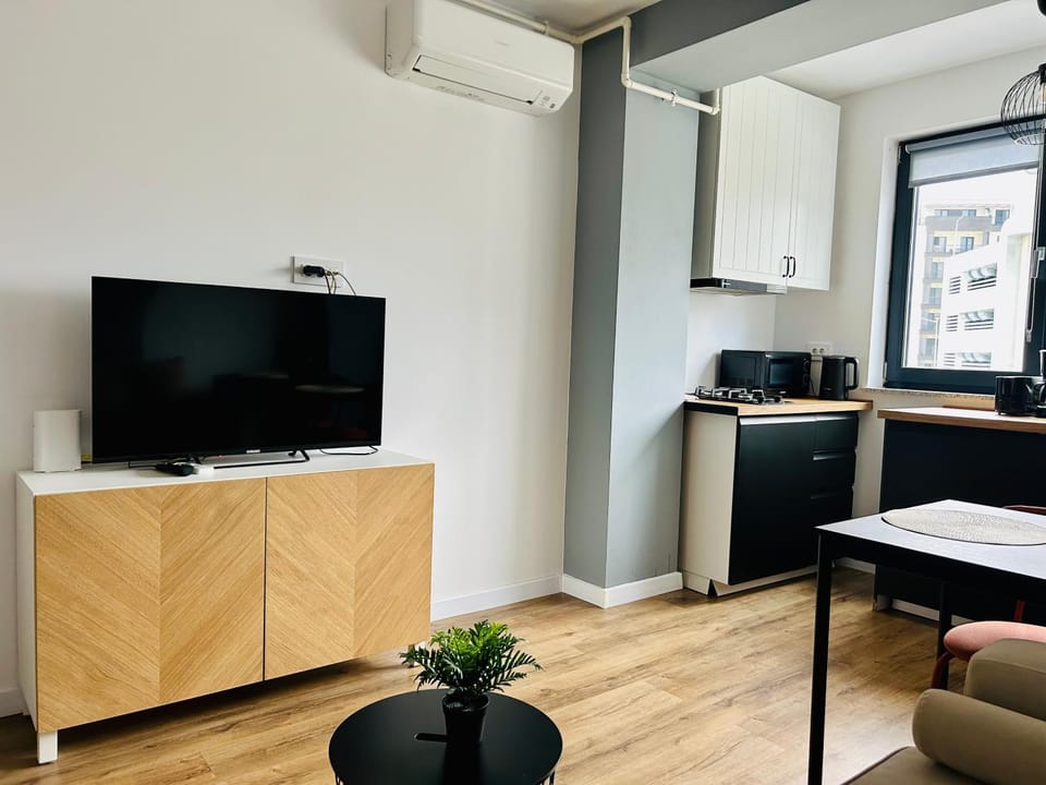 TV and multimedia, Kitchen or kitchenette, Living room, stove