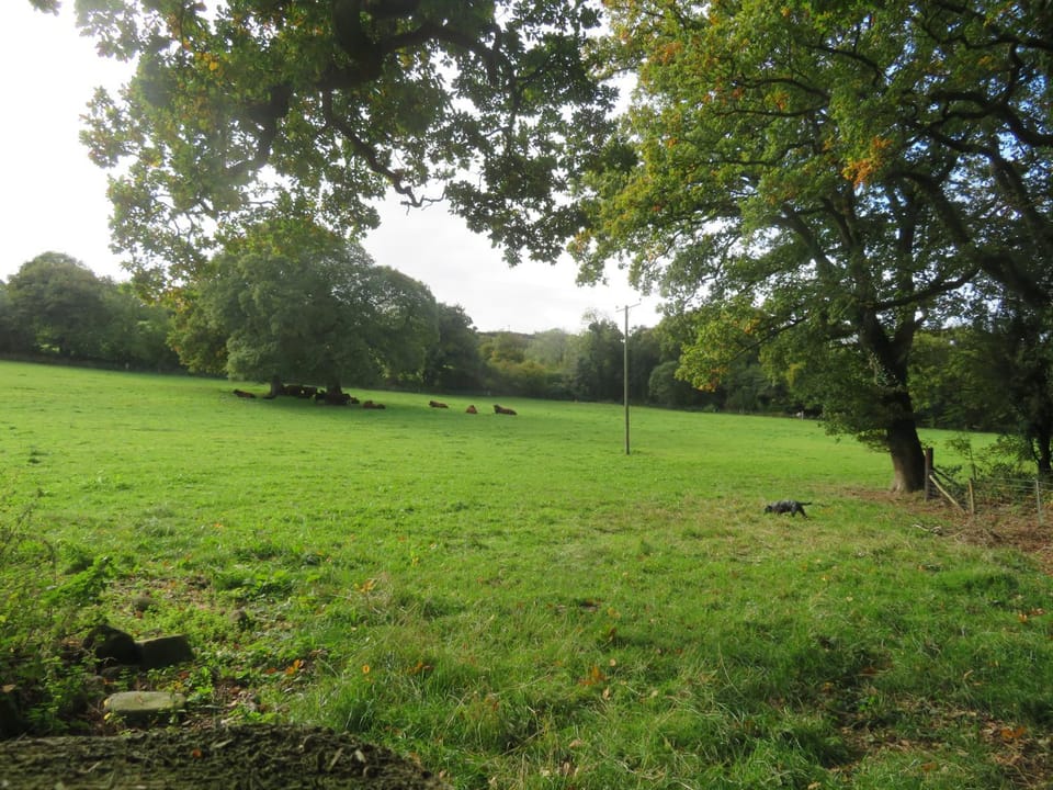 Holland Park Farm Bed and Breakfast in Teignbridge