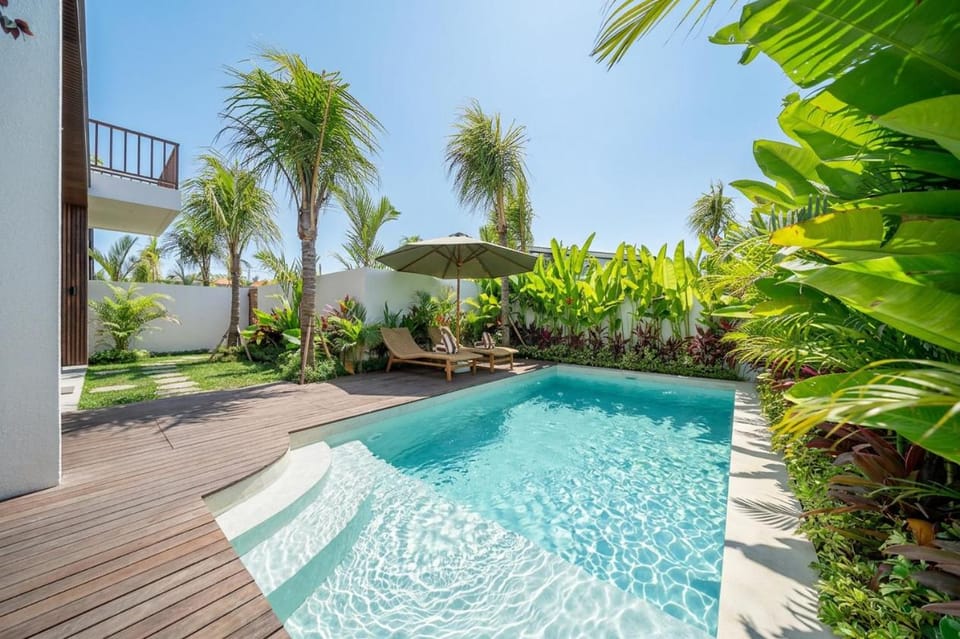 Garden, Swimming pool, Swimming pool, sunbed