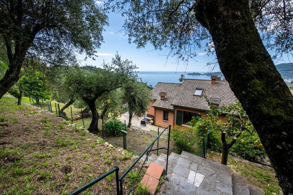 Property building, Natural landscape, Garden view, Sea view
