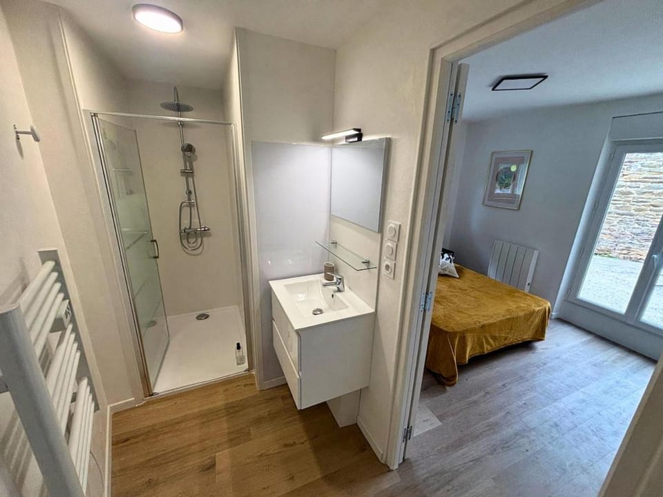 Shower, Photo of the whole room, Bedroom