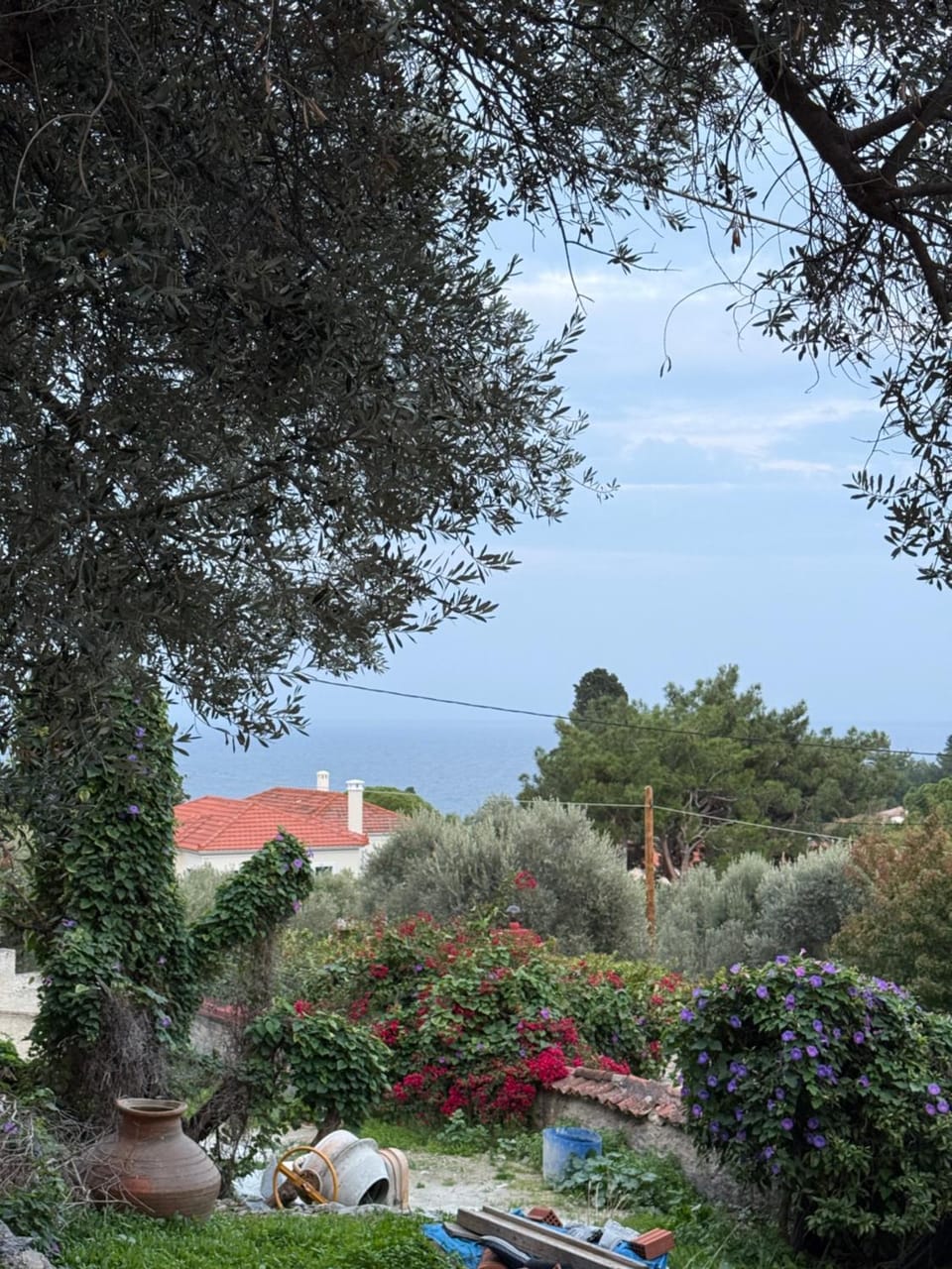 Natural landscape, Garden, Garden view