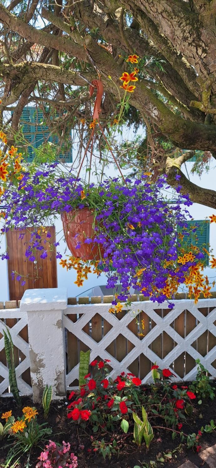 Spring, Garden, Garden view