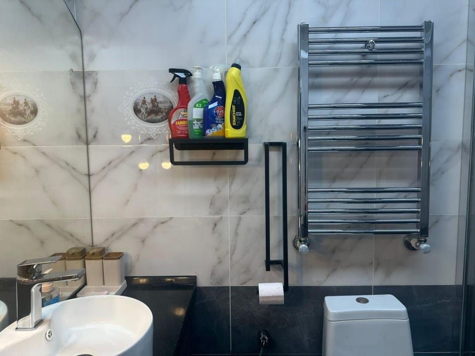 Toilet, Bathroom